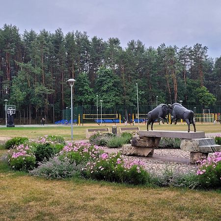 Chalet Villa Rex Druskininkai Eksteriør billede