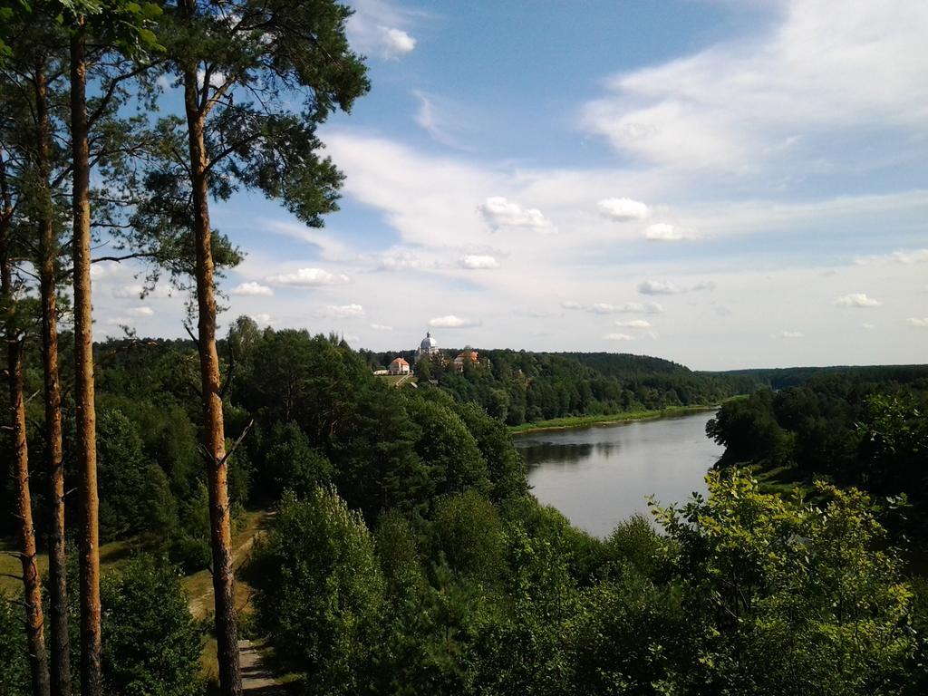 Chalet Villa Rex Druskininkai Eksteriør billede