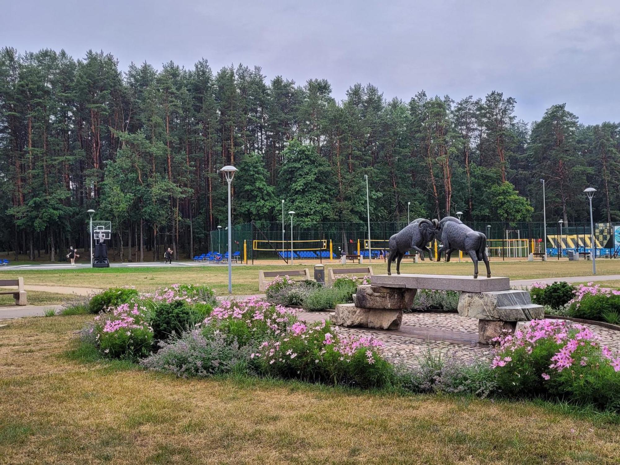 Chalet Villa Rex Druskininkai Eksteriør billede