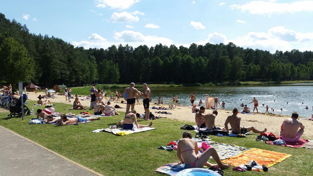 Chalet Villa Rex Druskininkai Eksteriør billede